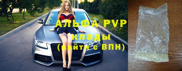 стаф Осташков